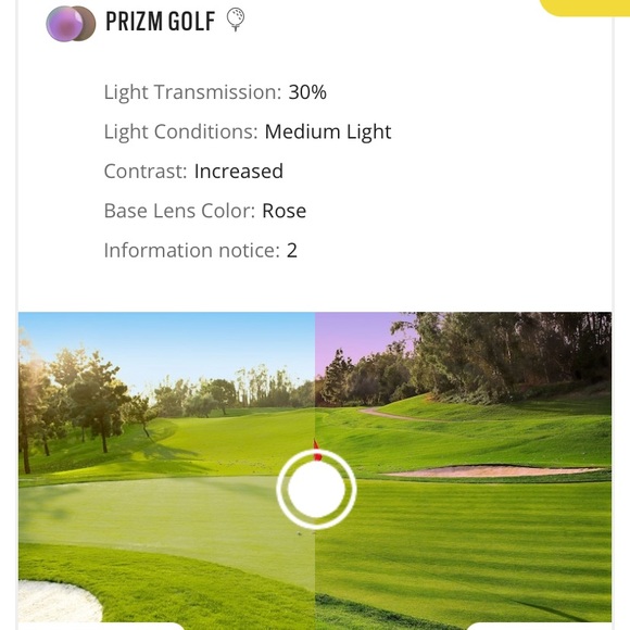 Radar® EV Advancer Replacement Lens Prizm Golf - Picture 3 of 8